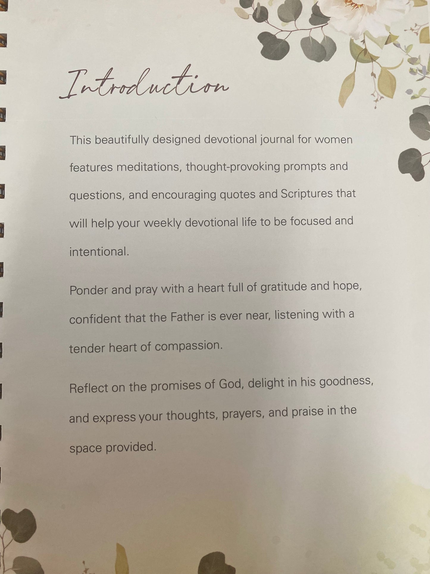 Be Still & Know Bible Study